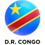 Global presence partner logo